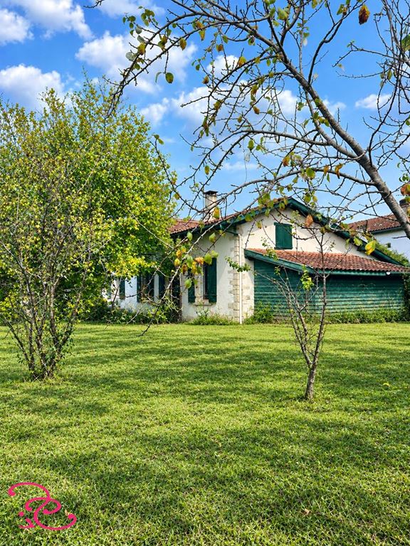 Maison SAUBRIGUES (40230) Pygmalion Immobilier